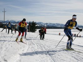 Langlauf Wolfershofen